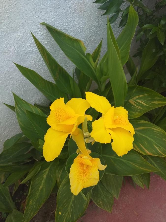 Apartment Apartamento Laguna Beach, Torrox Costa,