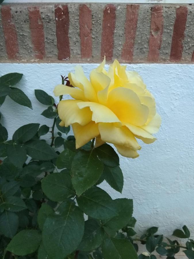 Apartamento Laguna Beach, Torrox Costa, Apartment Málaga