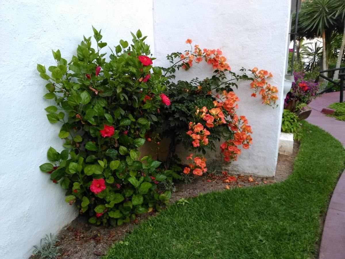 Apartment Apartamento Laguna Beach, Torrox Costa,