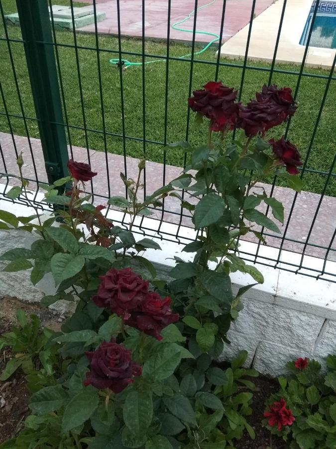 Apartamento Laguna Beach, Torrox Costa, Apartment